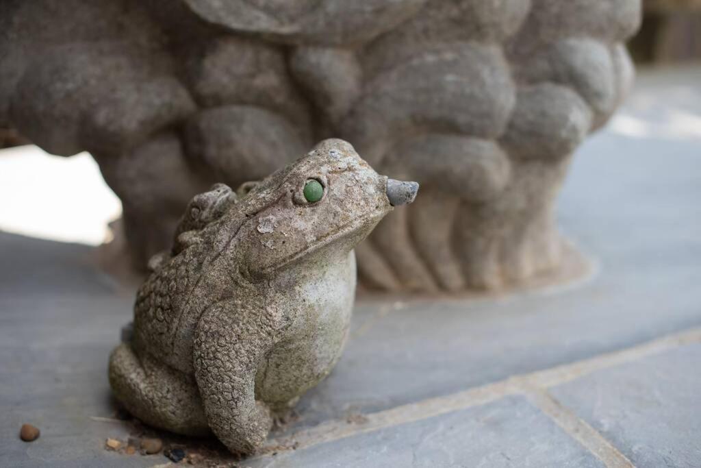 Frogs Bottom Retreat Faversham & Canterbury, Kent Dış mekan fotoğraf